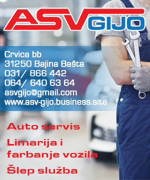 DRAGOLJUB VUKOVIĆ PR, AUTOSERVIS ASV GIJO,CRVICA	107015594