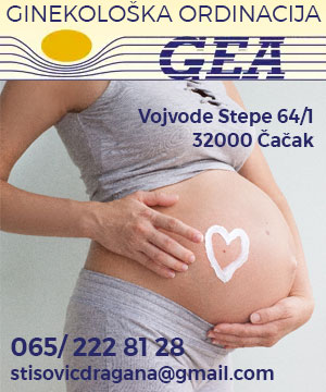 GINEKOLOŠKA ORDINACIJA GEA STIŠOVIĆ DRAGANA PR ČAČAK-101115966