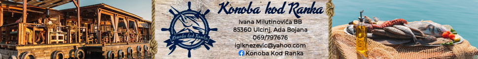 KNEŽEVIĆ IGOR KOJI OBAVLJA PRIVREDNU DJELATNOST U RESTORANU KOD RANKA ULCINJ	02846624